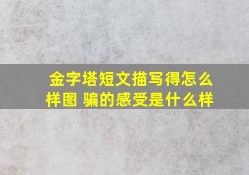 金字塔短文描写得怎么样图 骗的感受是什么样